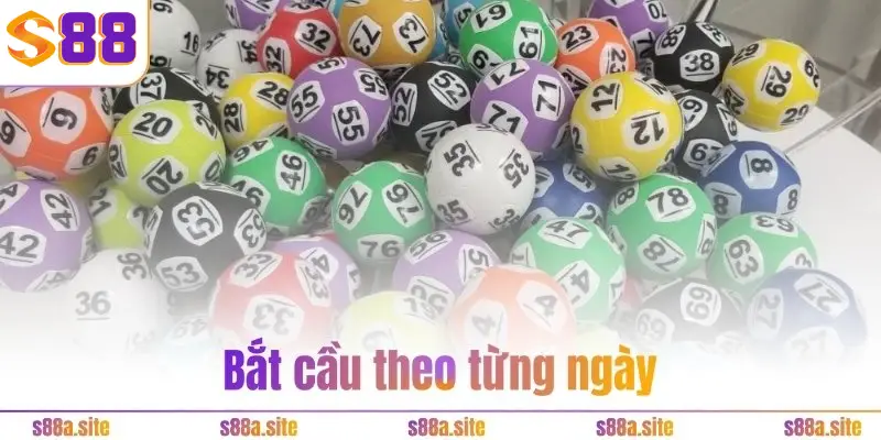 Bắt cầu theo từng ngày