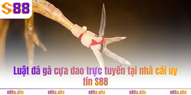 Luật đá gà cựa dao trực tuyến tại nhà cái uy tín S88