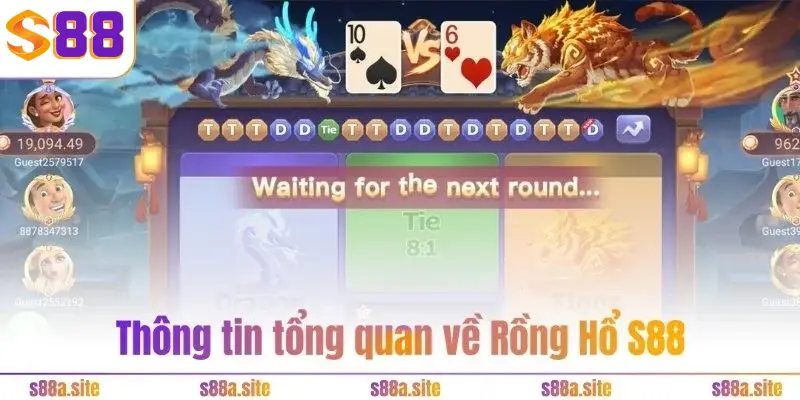 Rồng Hổ S88VIP 1 Thông tin tổng quan về Rồng Hổ S88VIP
