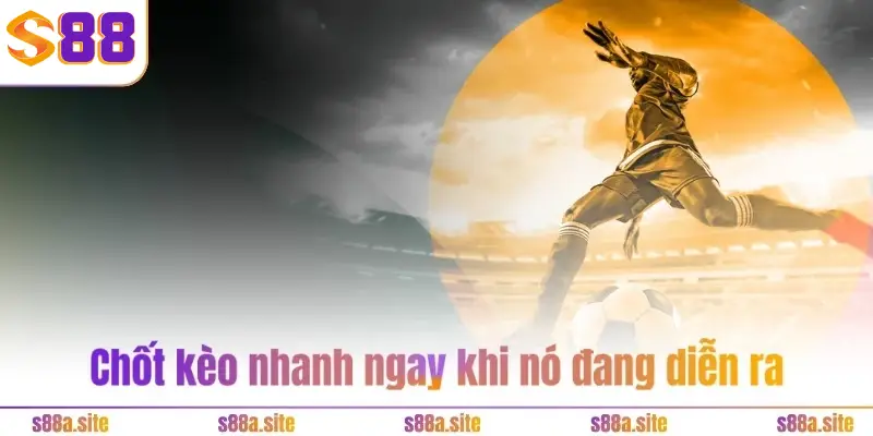 Tỷ lệ kèo thơm cao, có nhiều triển vọng