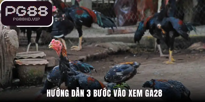 Hướng dẫn tham gia Ga28 chỉ với 3 bước đơn giản tại PG88