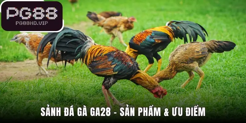 Sảnh cược cung cấp sản phẩm đỉnh cao và công nghệ vượt trội